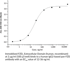 FZD5 Extracellular Domain (human, recombinant)