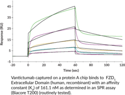 FZD5 Extracellular Domain (human, recombinant)