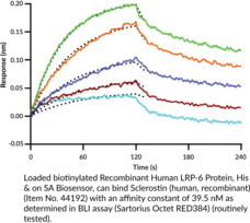 Sclerostin (human, recombinant)