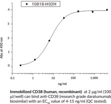 CD38 Extracellular Domain (human, recombinant)