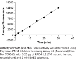 PAD4 (L117M mutant; human, recombinant)