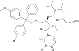 5'-O-DMT-2'-O-methyl-Uridine-CE Phosphoramidite (CAS Number: 110764-79-9)