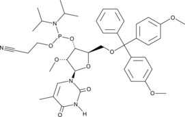 5'-O-DMTr-2'-O-Me-5MeU-3'-CED Phosphoramidite (CAS Number: 153631-20-0)