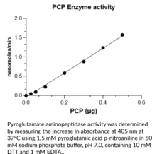 Pyroglutamate Aminopeptidase (P. furiosus, recombinant)