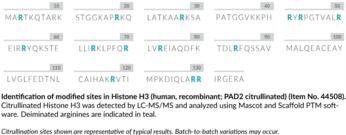 Histone H3 (human, recombinant; PAD2 citrullinated)