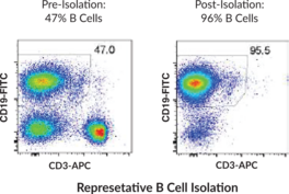 Mouse B Cell Isolation Kit