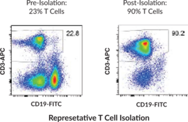 Mouse T Cell Isolation Kit