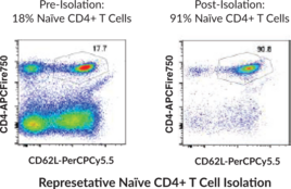 Mouse Naïve CD4+ T Cell Isolation Kit