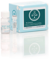 Human B Cell Isolation Kit