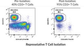 Human T Cell Isolation Kit