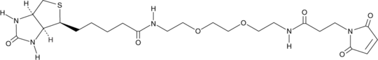 Biotin-PEG2-Maleimide (Biotin-PEG2-Mal, CAS Number: 305372-39-8)