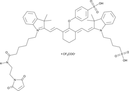 iFluor™ IRDye 800RS Maleimide