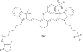 iFluor™ IRDye 800RS NHS Ester (CAS Number: 918324-94-4)