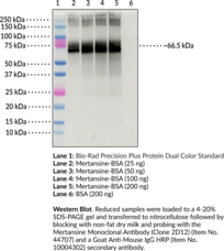 Mertansine Monoclonal Antibody (Clone 2D12)