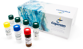 Hepatocyte Differentiation Reagent Kit (PHH, Primary Human Hepatocytes)