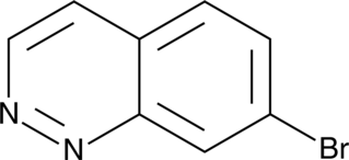 7-Bromocinnoline (CAS Number: 1375108-47-6)
