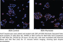 BSA-Myristate Saturated Fatty Acid Complex (5 mM)