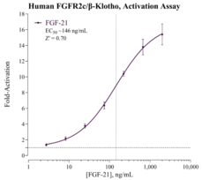 Human Fibroblast Growth Factor 2c/β-Klotho for Endocrine FGF Signaling Reporter Assay System