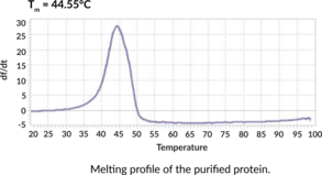 ARMC5 (human, recombinant)