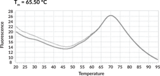 BIRC7 (human, recombinant)
