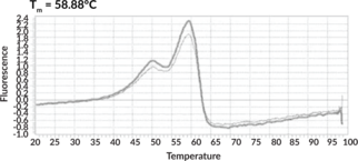 CHFR (human, recombinant)