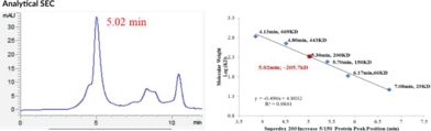 CHFR (human, recombinant)