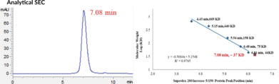 CRBNmidi (human, recombinant)
