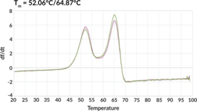 CRBN/DDB1/Cullin 4A/RBX1 Complex (human, recombinant)