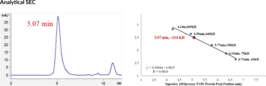 CRBN/DDB1/Cullin 4A/RBX1 Complex (human, recombinant)