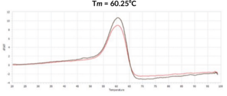 Cullin 1/RBX1 Complex (human, recombinant)