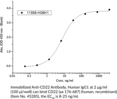 CD22 (aa 176-687) (human, recombinant)