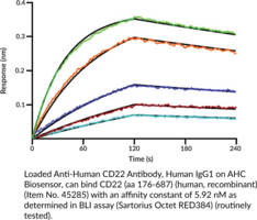 CD22 (aa 176-687) (human, recombinant)