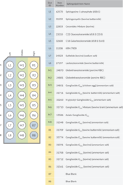 Cayman LipiDOT Strips™ - Sphingolipids