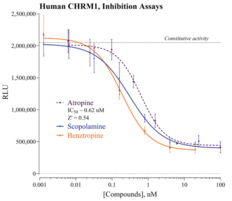 Human Cholinergic Receptor, Muscarinic 1 Inhibition Reporter Assay System