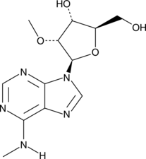 N6,2′-O-Dimethyladenosine ( m6Am, N6,2-O-Dimethyladenosine, CAS Number: 57817-83-1)