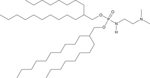 BiP-20
