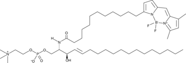 BODIPY-C12 Sphingomyelin (BODIPY-N-Dodecanoyl-D-erythro-Sphingosylphosphorylcholine, BODIPY-Lauroyl Sphingomyelin, BODIPY-SM(d18:1/12:0), BODIPY-Sphingomyelin (d18:1/12:0), B12SPM, CAS Number: 956294-43-2)