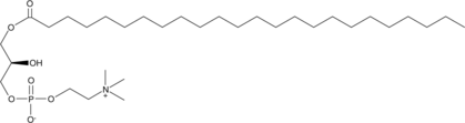 1-Lignoceroyl-2-hydroxy-sn-glycero-3-phosphocholine (1-Lignoceroyl-2-hydroxy Phosphatidylcholine, LPC(24:0), PC(24:0/0:0), PtdCho-(1-lignoceroyl, 2-hydroxy), 1-Tetracosanoyl-2-hydroxy-sn-glycero-3-Phosphocholine, CAS Number: 325171-59-3)