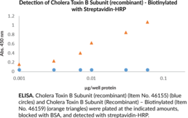 Cholera Toxin B Subunit (recombinant) - Biotinylated