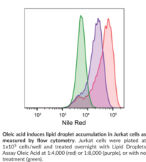 Lipid Droplets Fluorescence Assay Kit