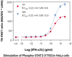 THUNDER™ Phospho-STAT3 (Y705) TR-FRET Cell Signaling Assay Kit (Signal Transducer and Activator of Transcription 3)