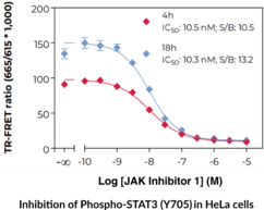 THUNDER™ Phospho-STAT3 (Y705) TR-FRET Cell Signaling Assay Kit