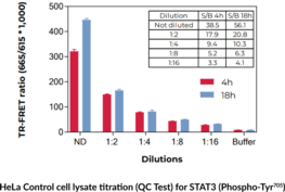 THUNDER™ Phospho-STAT3 (Y705) TR-FRET Cell Signaling Assay Kit