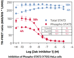 THUNDER™ Phospho-STAT3 (Y705) + Total STAT3 TR-FRET Cell Signaling Assay Kit