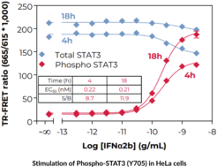 THUNDER™ Total STAT3 TR-FRET Cell Signaling Assay Kit (Signal Transducer and Activator of Transcription 3)