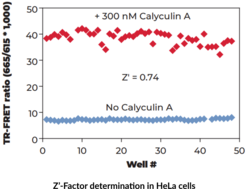 THUNDER™ Phospho-eIF2α (S51) TR-FRET Cell Signaling Assay Kit