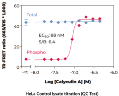 THUNDER™ Total eIF2α TR-FRET Cell Signaling Assay Kit