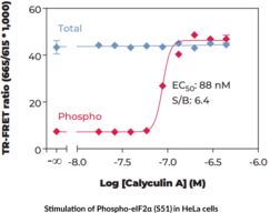 THUNDER™ Phospho-eIF2α (S51) + Total eIF2α TR-FRET Cell Signaling Assay Kit (Eukaryotic Translation Initiation Factor 2 Subunit 1)