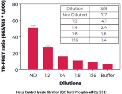 THUNDER™ Phospho-eIF2α (S51) + Total eIF2α TR-FRET Cell Signaling Assay Kit
