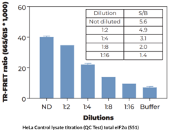 THUNDER™ Phospho-eIF2α (S51) + Total eIF2α TR-FRET Cell Signaling Assay Kit